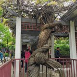 郑和公园