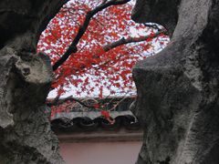-留园