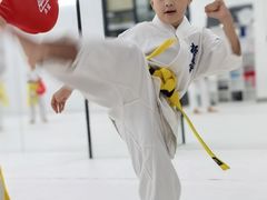 -极真空手道修远道场