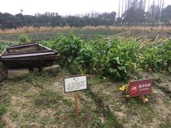 -乌村