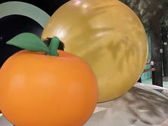 -湖南省科学技术馆
