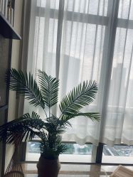 -JNK皮肤管理中心