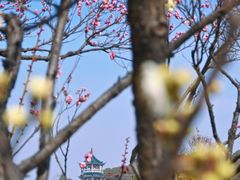 -无锡梅园公园