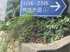-圣爵菲斯大酒店(长沙世界之窗店)
