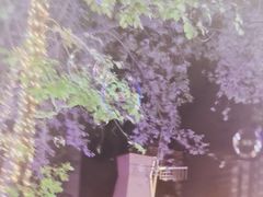 -奉天宴遇烧烤·冒锅