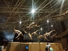 -世界恐龙谷景区