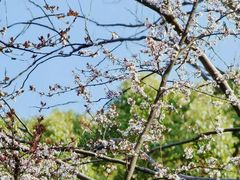 -昆山城市生态森林公园