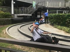 -圣淘沙天际线斜坡滑车
