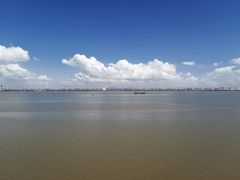 -大湾区中央湿地公园