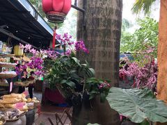 -园林美食城·本土农家菜(杨和镇店)