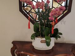 -钦善斋·养生膳食·精典川菜(武侯祠店)