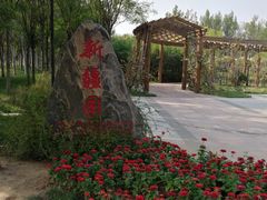 -武清南湖绿博园