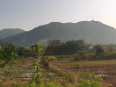 -田野绿世界