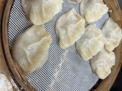 -马大刚白记包子