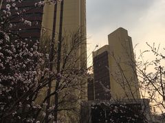 -北京保利大厦酒店(东四十条地铁站店)