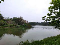 -海珠湖公园