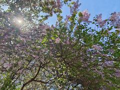-山东师范大学(千佛山校区)