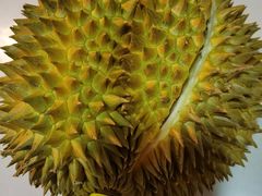 -沈阳市八家子水果批发市场