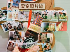 -DQ·蛋糕·冰淇淋(绿宝店)
