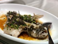 -金满楼(天河中路店)