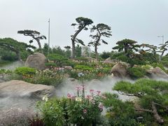 -罗红摄影艺术馆