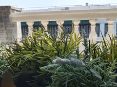 -之参餐厅(前门大街店)