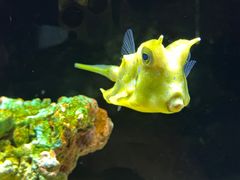-上海海洋水族馆