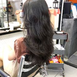 -SALON V