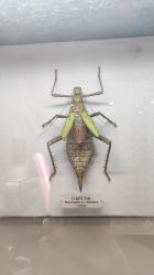 -酷嗒动物文化乐园(cutezoo西溪乐天城店)