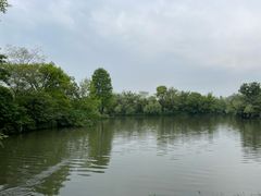 -新荣记(西溪湿地店)