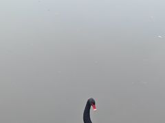 -水绘园