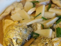 舟山大黄鱼烧年糕-老吉堂上海本帮菜(望京万象汇店)