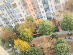 -M.S拳击泰拳馆(大学路店)