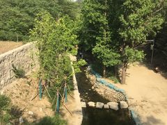 -白水寺森林公园