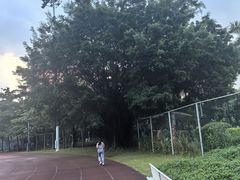 -博林天瑞喜来登酒店·西丽尚膳