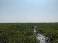 -北海金海湾红树林生态旅游区