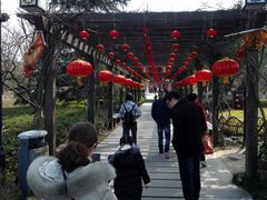 -白马涧龙池景区
