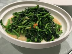 -云采云南菜(中山北路店)