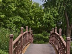-莲花池公园