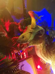 -恐龙探索乐园(磁器口店)