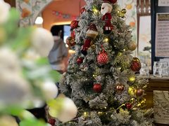 -line friends(明洞旗舰店)