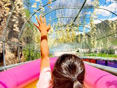 -野三坡清泉山风景区