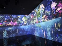 -中国湿地博物馆