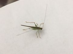 -浙江元通福通福特4S店(西溪店)