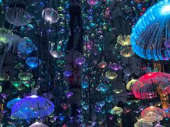 -梵高星空艺术馆(北京旗舰店)