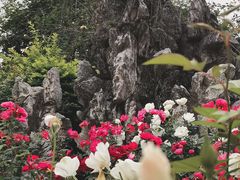 -人民公园(罗湖区)