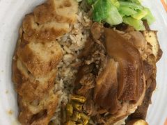 -瑞霖·隆江猪脚饭