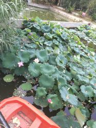 -莫莉幻想儿童乐园(武汉保利广场店)