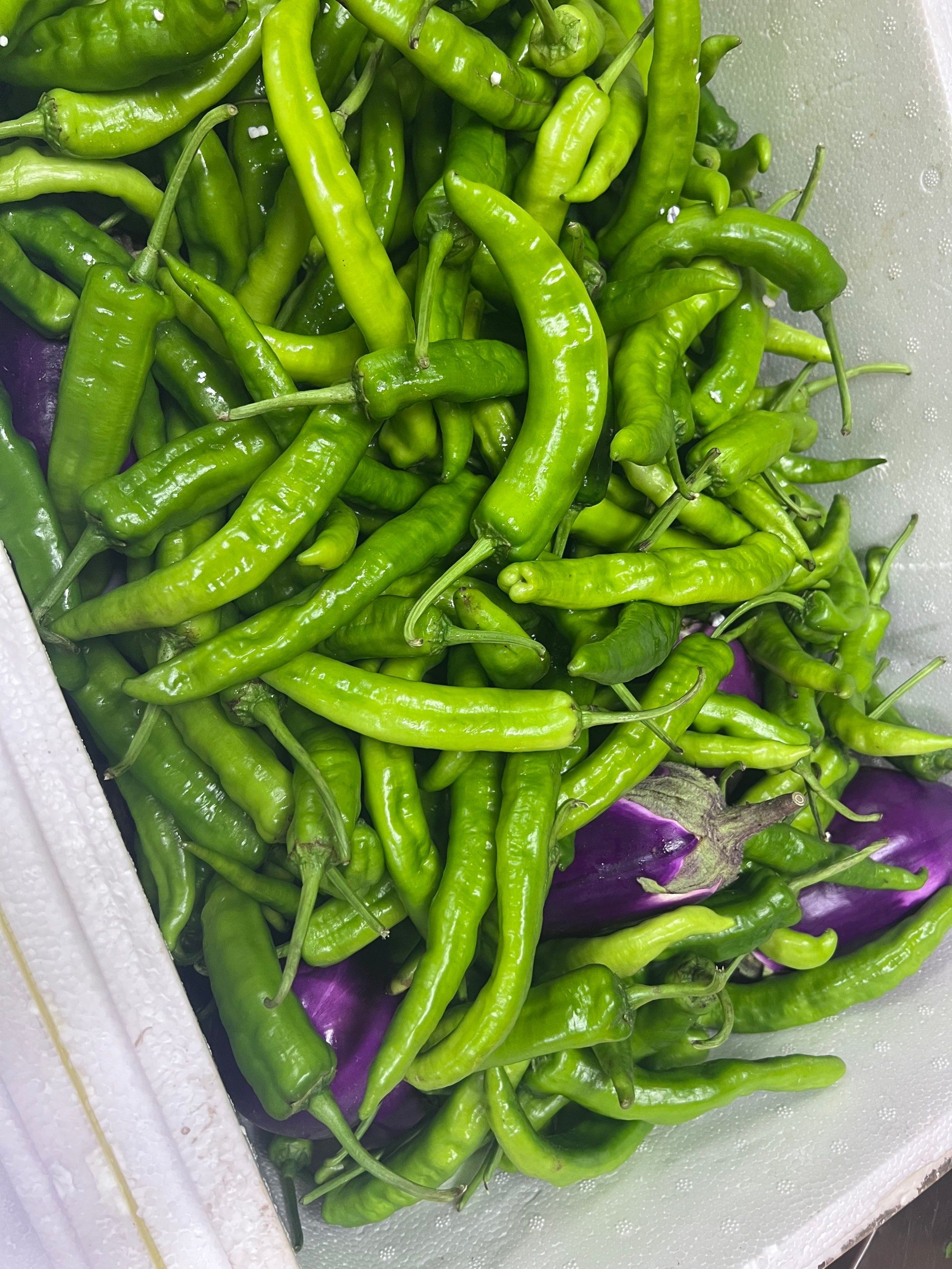 纯天然绿色食品 下饭菜