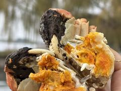 -品鲜村农家菜·阳澄湖大闸蟹(总店)